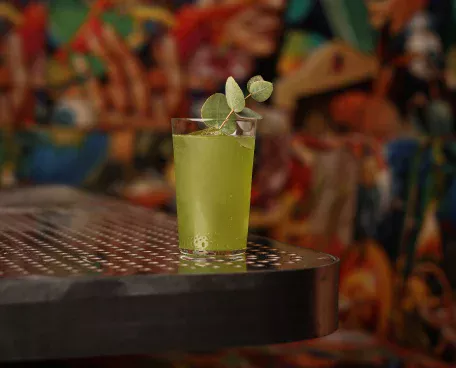 Matcha and Kiwi cocktail with eucalyptus garnish